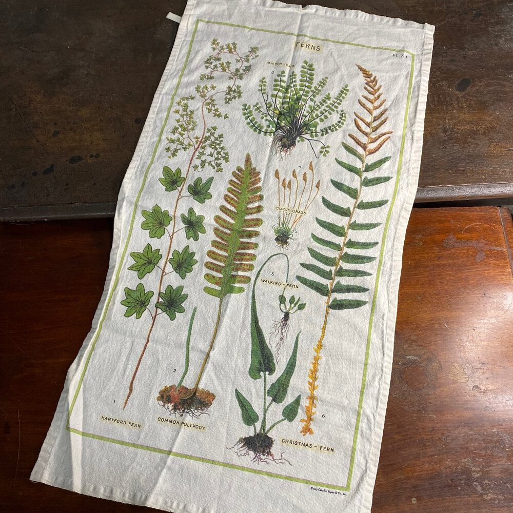 Ferns Printed Tapestry Flag, Tea Dish Towel